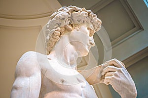 Head detail of Statue of David by Michelangelo Buonarroti