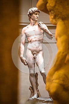 The Statue of David, completed Michelangelo Buonarroti