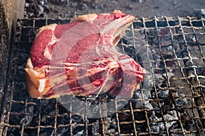 Florentine or Fiorentina steak photo