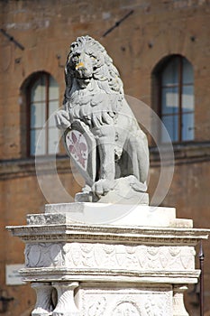 The Florentine lion