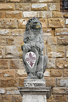 The Florentine lion photo