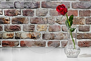 Florero con rosa roja sobre mesa blanca con pared de ladrillos rojos