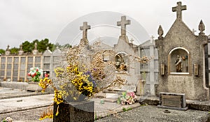 florero lleno de flores en un cementerio