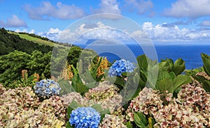 Flores, Azores - In the background the neighbor island Corvo