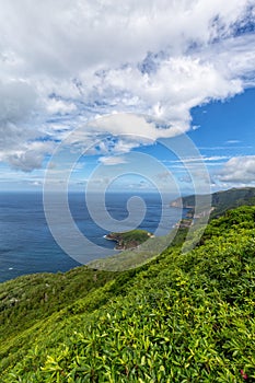 Flores Green Coastline Portrait