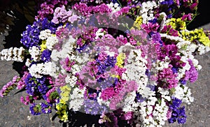 dried flowers in a summer afternoon outdoor market photo