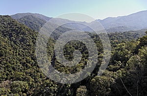 Floresta Atlantica Itatiaia National Park photo