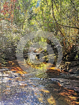 Florestal Uaimii Waterfall, Minas Gerais, Brazil.