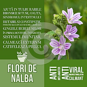 Flori de nalba - herbalist advise with herbs benefits tile wall decor