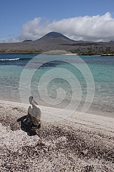 Floriana Island (Galapagos) photo