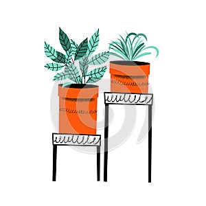 Floriculture. Set of flower pots on flower stands. Vector illustratio