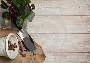 The frame is made of flowering senpolia and pelargonium on a wooden background. photo