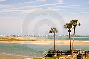 Florida bay and Palm trees