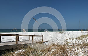 Florida Beach