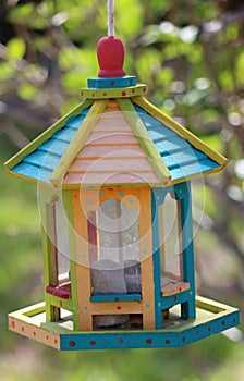 Florida bird feeder in its tropical colors