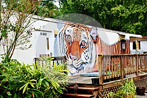 Florida catty shack wildlife sanctuary x-ray facility