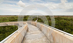 Florida Everglades