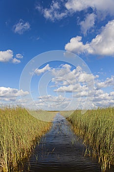 Florida Everglades