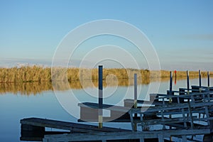 Florida Everglades