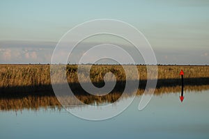 Florida Everglades