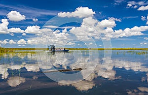 Florida Everglades airboat rides and aligators