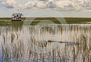 Florida Everglades airboat rides to see aligators