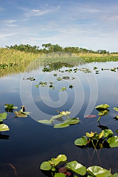 Florida Everglades National Park