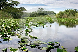 Florida Everglades National Park