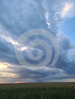 Florida Everglades sky