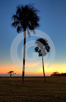 Florida Everglades Sunset