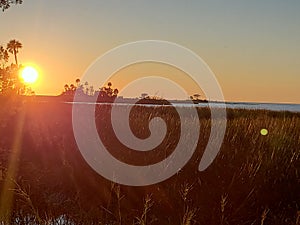 Florida gulf coast sunset fishing marsh wildlife preserve