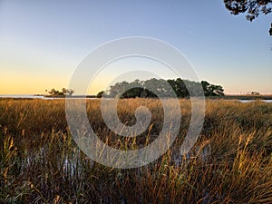 Florida gulf coast sunset fishing marsh wildlife preserve