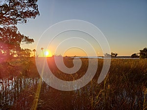 Florida gulf coast sunset fishing marsh wildlife preserve