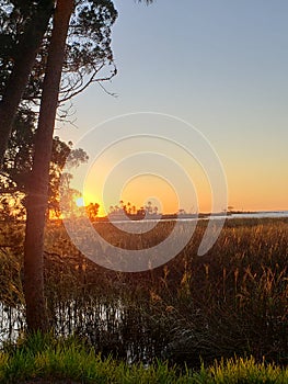 Florida gulf coast sunset fishing marsh wildlife preserve