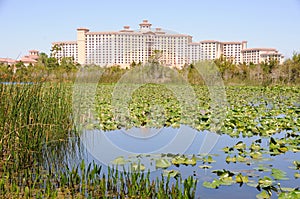 Florida Hotel near Marshland and Pond