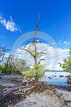 Florida Keys Island