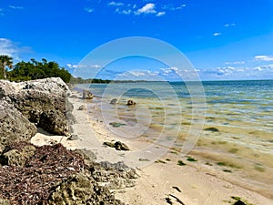 Florida Keys Ocean View