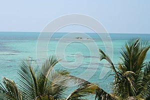 Florida Keys Ocean View Palms and Island