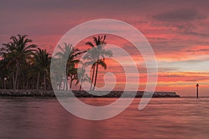 Florida Keys Pink Sunrise Palm Trees Tropical Ocean Landscape