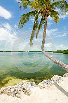 Florida Keys seascape