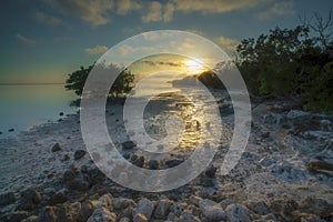 Florida Keys Tropical Mangrove Beach Sunset