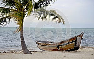 Florida Keys Tropical Scenic