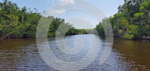 Florida mangroves airboat tour