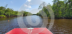 Florida mangroves airboat tour