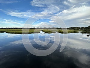 Florida Marsh Under a Blue Sky