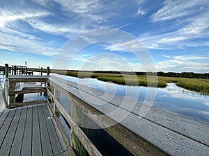 Florida Marsh Under a Blue Sky
