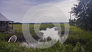 Florida Marshlands