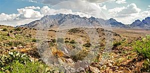 Florida Mountains near Deming, New Mexico