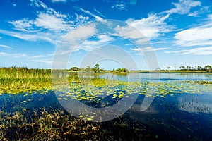 Florida Nature Preserve