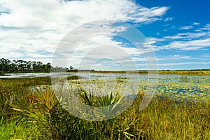 Florida Nature Preserve